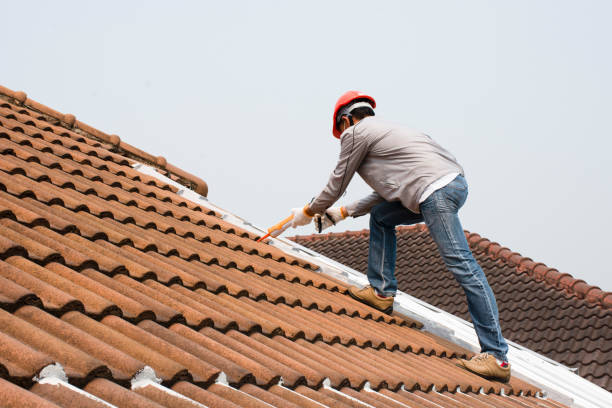 Best Skylight Installation and Repair  in Nashville, MI