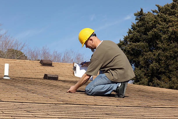 Best Solar Panel Roofing Installation  in Nashville, MI