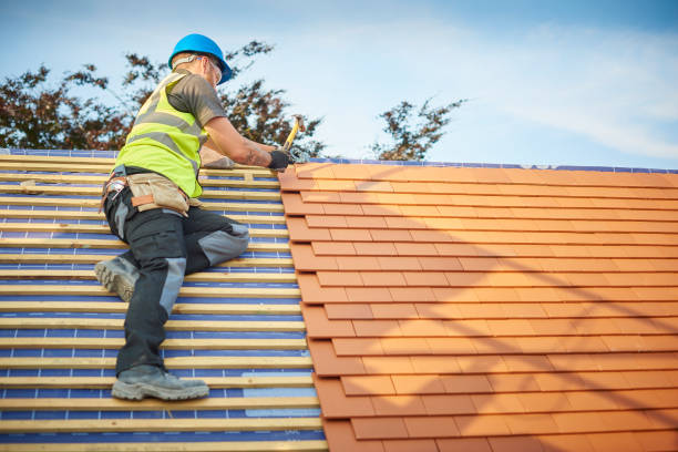 Best Metal Roofing Installation  in Nashville, MI