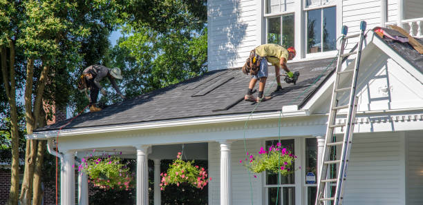 Best Asphalt Shingle Roofing  in Nashville, MI